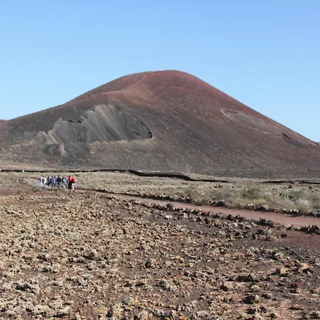 International Surf Camp Only Surf ホステル コラレホ