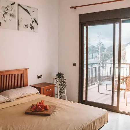 International Surf Camp Only Surf コラレホ