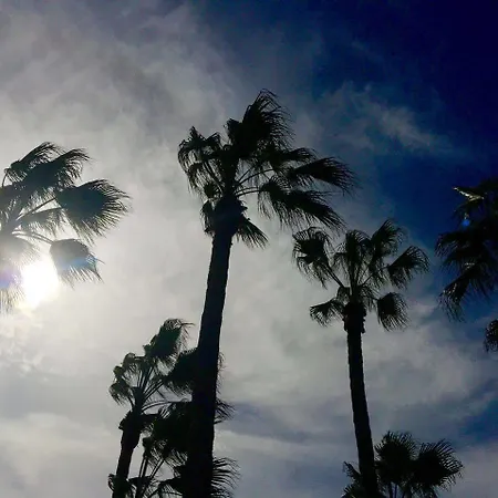 International Surf Camp Only Surf * コラレホ