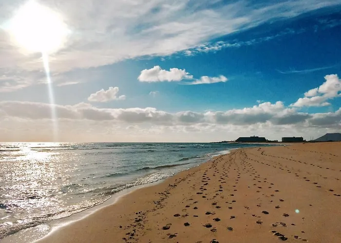 International Surf Camp Only Surf