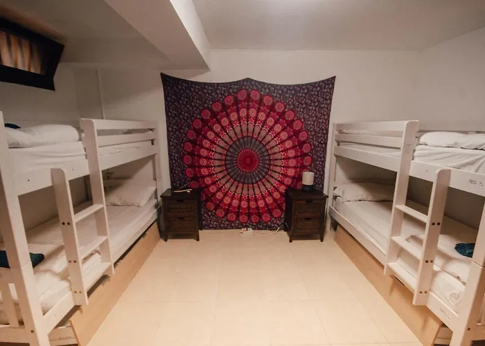 ホステル International Surf Camp Only Surf コラレホ