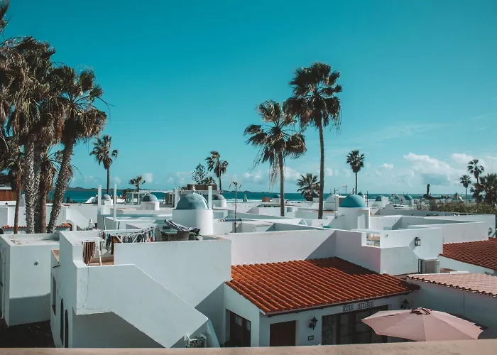 International Surf Camp Only Surf Hostel Corralejo