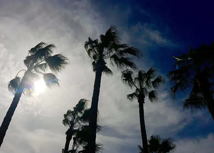 International Surf Camp Only Surf * Corralejo