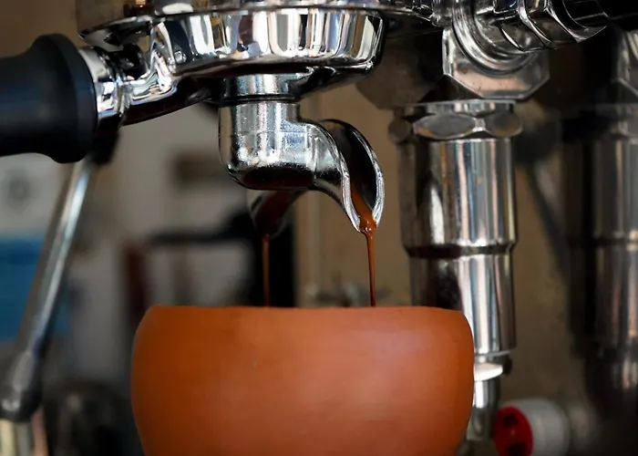 Hostel International Surf Camp Only Surf *